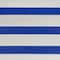 Blue & White Striped Rectangular Outdoor Area Rug, 4ft. x 6ft.